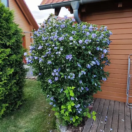 Casa vacanze Bliev-hee Nr 4 Klink